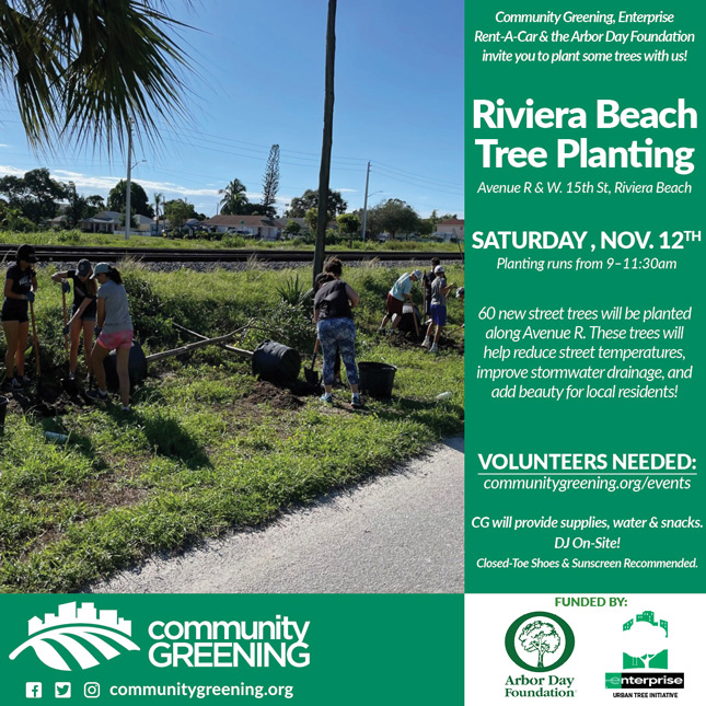 Community Greening, Enterprise Rent-A-Car & the Arbor Day Foundation invite you to plant some trees with us! Riviera Beach Tree Planting Avenue R & W. 15th St, Riviera Beach SATURDAY, NOV. 12TH Planting runs from 9-11:30am 60 new street trees will be planted along Avenue R. These trees will help reduce street temperatures, improve stormwater drainage, and add beauty for local residents! VOLUNTEERS NEEDED: communitygreening.org/events CG will provide supplies, water & snacks. DJ On-Site! Closed-Toe Shoes & Sunscreen Recommended.